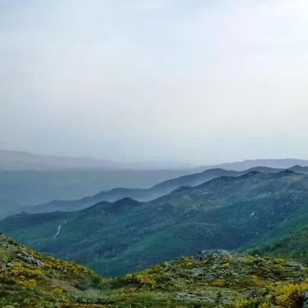 Da Garca Sao Pedro do Sul