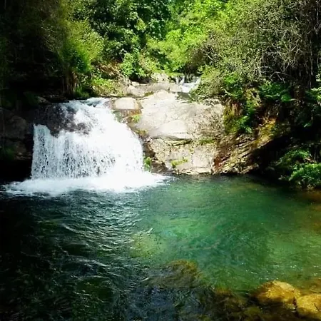 Da Garça São Pedro do Sul