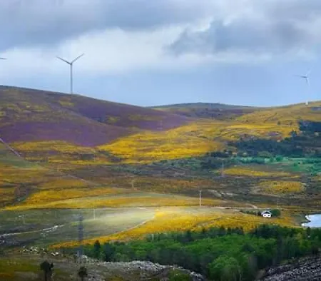 Bed and breakfast Da Garca *