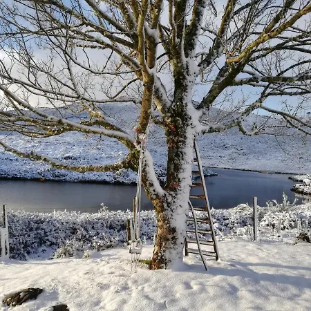 Bed & Breakfast Da Garca São Pedro do Sul