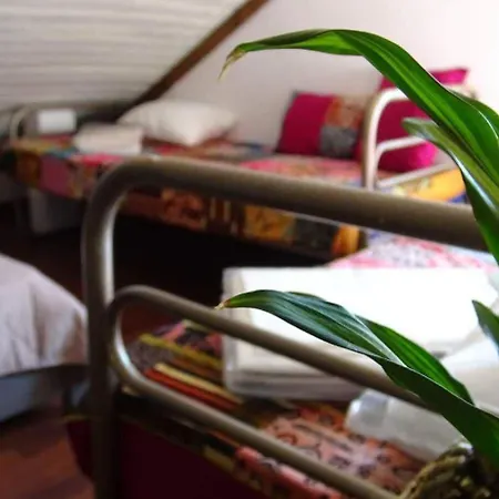 Da Garca Bed and breakfast São Pedro do Sul