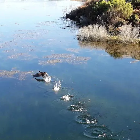 Bed and breakfast Da Garca São Pedro do Sul