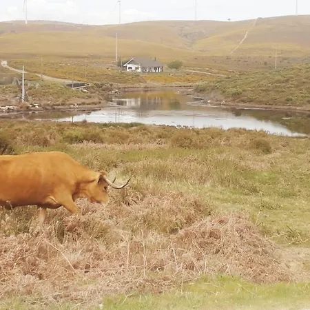 Alojamento de Acomodação e Pequeno-almoço Da Garça *