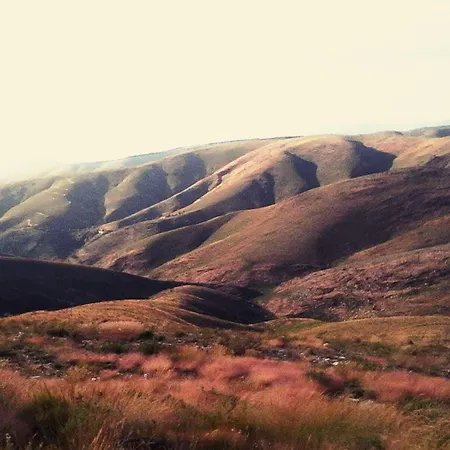 Da Garca São Pedro do Sul