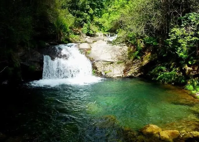 Da Garca São Pedro do Sul