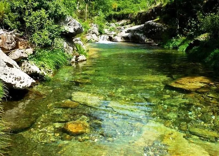 Da Garca Bed & Breakfast São Pedro do Sul