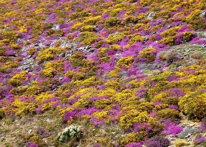 Bed & Breakfast Da Garca São Pedro do Sul