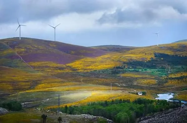 Bed & Breakfast Da Garca *