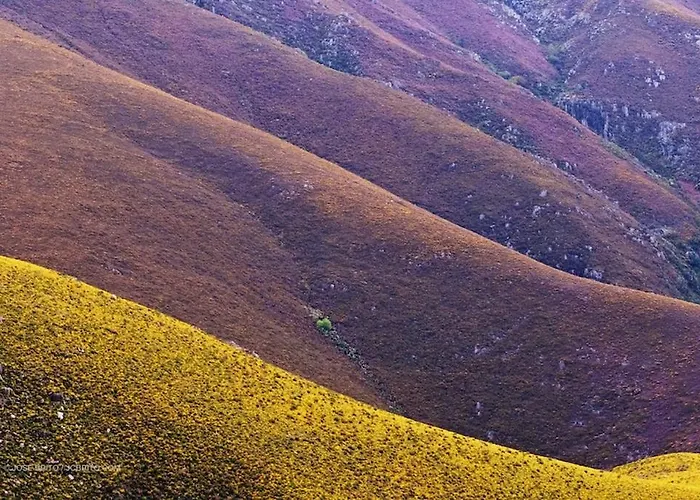 Da Garca Bed & Breakfast