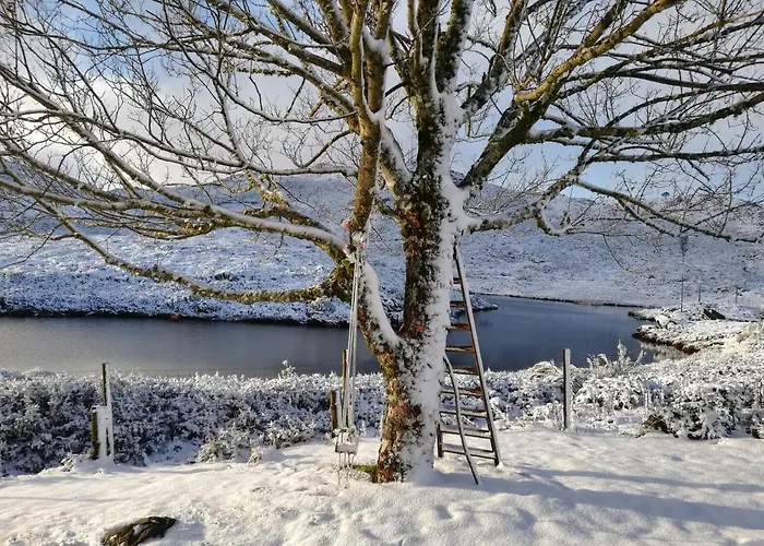 Bed & Breakfast Da Garca São Pedro do Sul