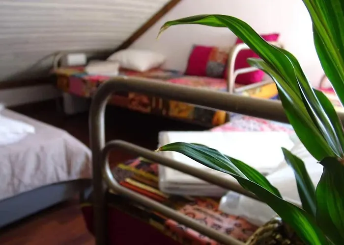 Da Garca Bed & Breakfast São Pedro do Sul