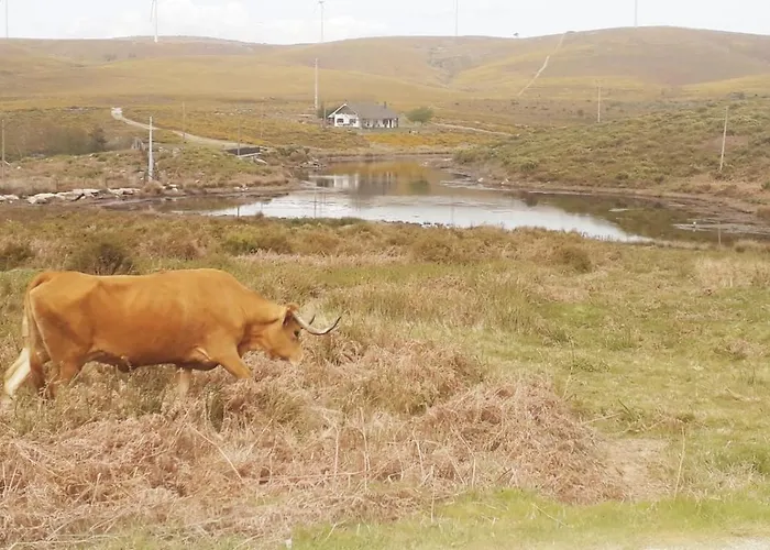 Bed & Breakfast Da Garca *