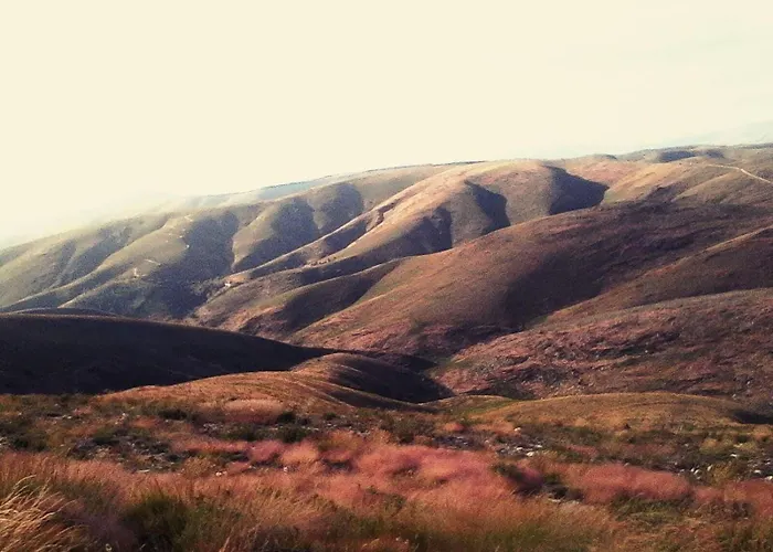 Da Garca São Pedro do Sul