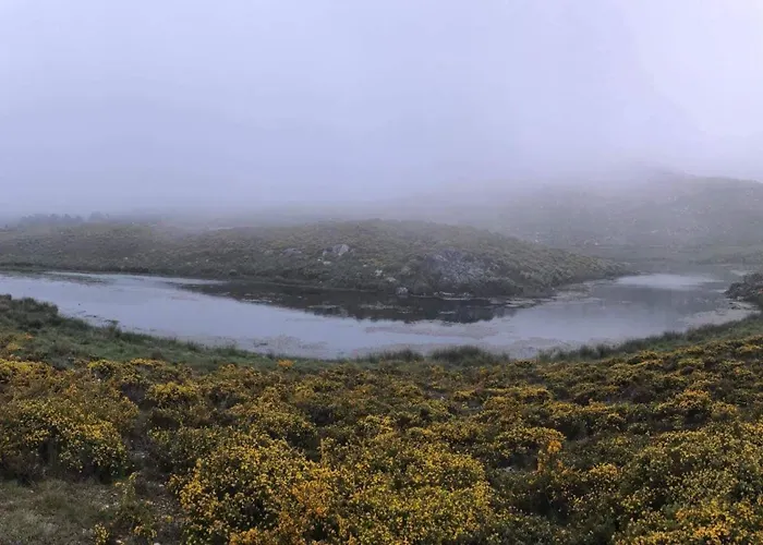 Da Garca Bed & Breakfast São Pedro do Sul